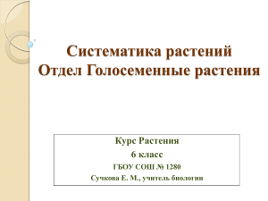 Систематика растений Отдел Голосеменные растения