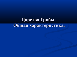 Царство Грибы. Лишайники. Общая характеристика.