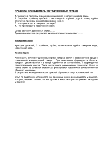 Продукты жизнедеятельности грибов