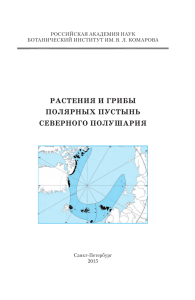 растения и грибы полярных пустынь северного полушария