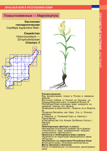 Покрытосеменные — Magnoliophyta Кастиллея гипоарктическая Семейство
