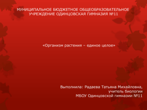 Презентация по биологии. - МБОУ Одинцовская гимназия №11