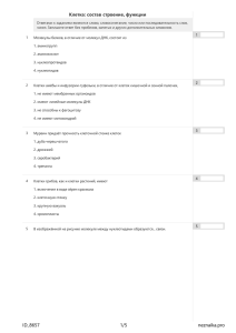 Клетка: состав строение, функции