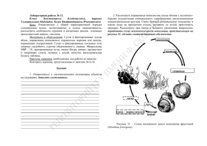 Занятие 1 Отдел синезеленые водоросли (Cyanophyta)