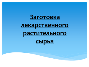 заготовка лекарственного растительного сырья