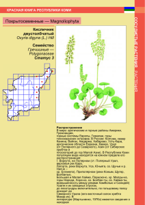 Покрытосеменные — Magnoliophyta Кисличник двустолбчатый Семейство