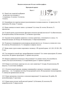 А1. Какой тип соцветий изображен на рисунке под номером 1. 1