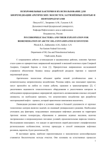 ПСИХРОФИЛЬНЫЕ БИОРЕМЕДИАЦИИ НЕФТЕПРОДУКТАМИ БАКТЕРИИ И ИХ ИСПОЛЬЗОВАНИЕ ДЛЯ