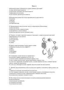 Часть 1. 1.Какова функция клубеньков на корнях бобовых