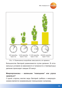 Большинство бактерий размножаются путем деления. В опти