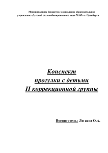 Конспект прогулки с детьми II коррекционной группы