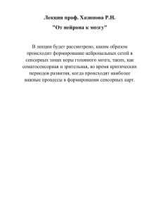 Лекция проф. Хазипова Р.Н. "От нейрона к мозгу"