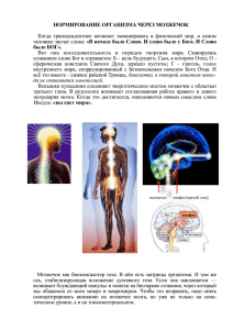 НОРМИРОВАНИЕ ОРГАНИЗМА ЧЕРЕЗ МОЗЖЕЧОК Когда