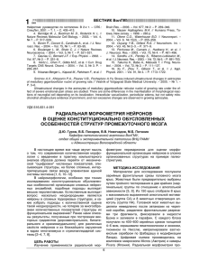 РАДИАЛЬНАЯ МОРФОМЕТРИЯ НЕЙРОНОВ В ОЦЕНКЕ