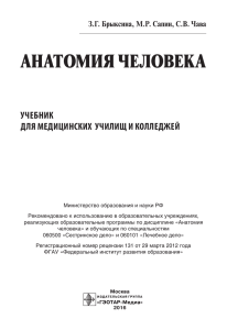 АНАТОМИЯ ЧЕЛОВЕКА УЧЕБНИК ДЛЯ МЕДИЦИНСКИХ  УЧИЛИЩ И КОЛЛЕДЖЕЙ