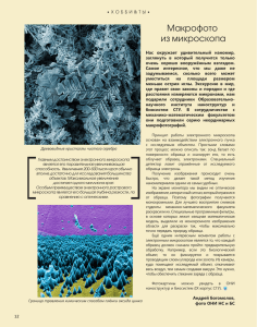 Макрофото из микроскопа