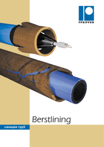 Berstlining - Ludwig Pfeiffer