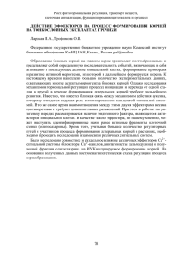 действие эффекторов на процесс формирования корней на