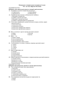 Контрольно- измерительные материалы 6 класс Тест по теме