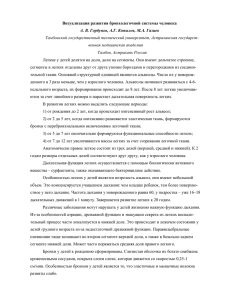 Визуализация развития бронхолегочной системы человека А. В. Горбунов,