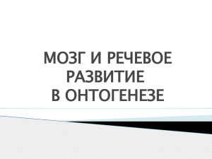 Мозг и речевое развитие в онтогенезе