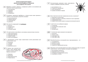 Демонстрационный вариант диагностической работы по