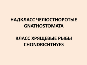 Общая характеристика рыб. Ч.1