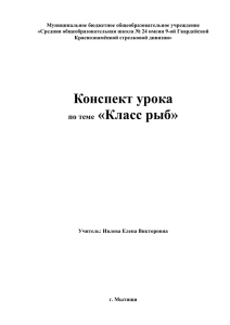 Конспект урока по теме «Класс рыб»