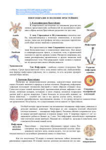 Подцарство Простейшие. Многообразие и значение