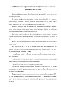 Особенности агротехники капусты брюссельской в условиях