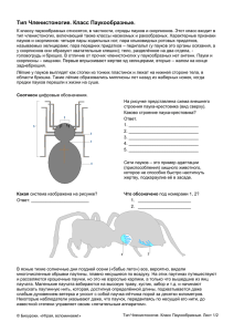 Тип Членистоногие. Класс Паукообразные