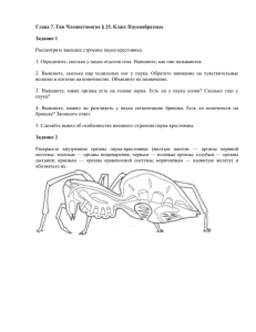 Глава 7. Тип Членистоногие § 25. Класс Паукообразные Задание 1