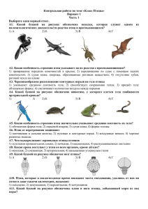 Птицы 1 вариант