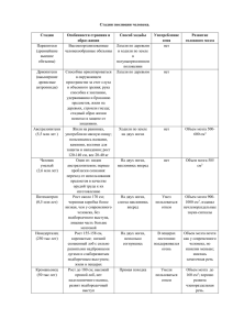 Стадии эволюции человека. Стадии Особенности строения и