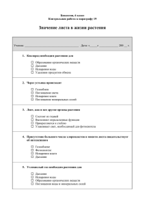 Значение листа в жизни растения