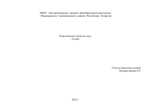 Технологическая карта урока «Соли» (химия 8 класс)