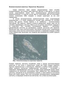 Взаимоотношения животных. Паразитизм. Мутуализм Среди