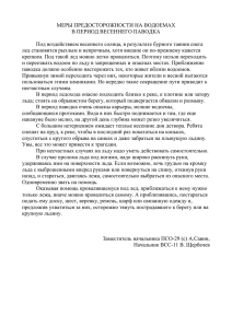 МЕРЫ ПРЕДОСТОРОЖНОСТИ НА ВОДОЕМАХ В ПЕРИОД