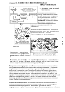 Лекция 13. ЭНЕРГЕТИКА И БИОЛОГИЧЕСКАЯ ПРОДУКТИВНОСТЬ