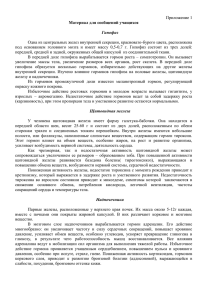 Приложение 1  Одна из центральных желез внутренней секреции, красновато-бурого цвета, расположена