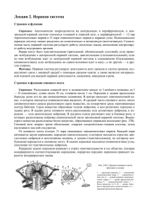 Лекция 2. Нервная система