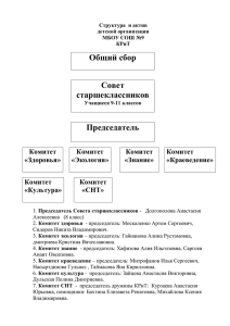 Структура и актив ДОО МБОУ СОШ №9