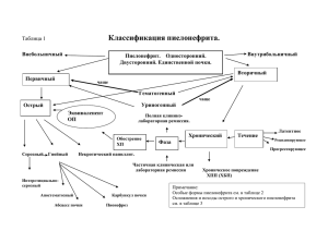 Классификация пиелонефрита.