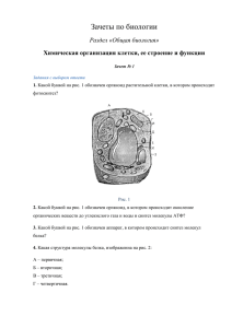 Зачеты по биологии