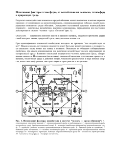 Человек и окружающая его среда гармонично взаимодействуют