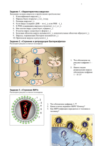 Вирусы