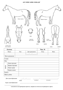 АКТ ОПИСАНИЯ ЖЕРЕБЕНКА