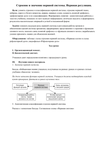 Строение и значение нервной системы. Нервная регуляция.