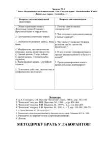 Занятие № 6 Тема: Медицинская гельминтология. Тип Плоские