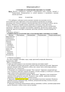 Лабораторная работа 1 Строение и размножение высших